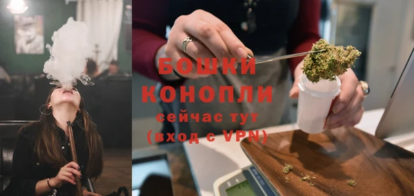 дурь Алексеевка