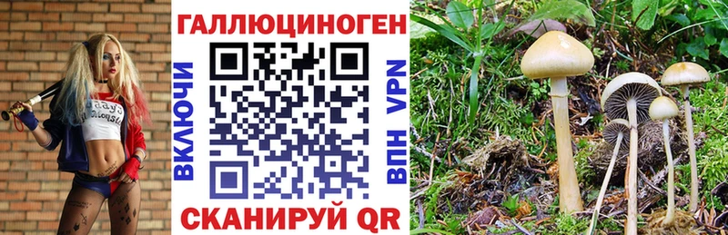 Псилоцибиновые грибы Magic Shrooms кракен как зайти Петухово